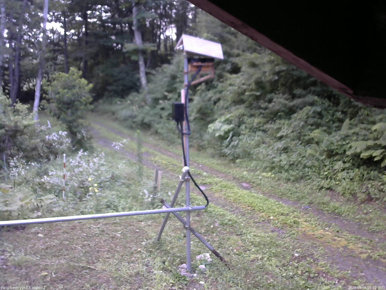 長野県菅平高原 ゆたか山荘 南側 2026/08/03 05:30