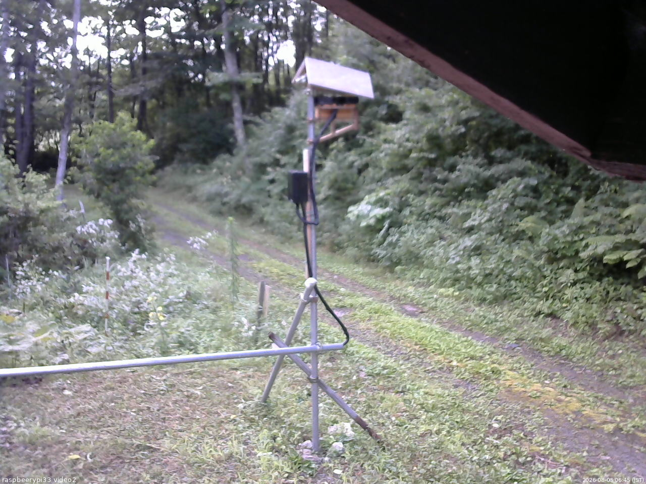 長野県菅平高原 ゆたか山荘 南側 2026/08/03 06:45