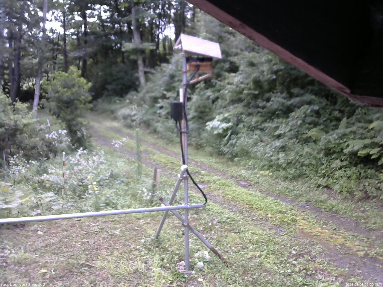 長野県菅平高原 ゆたか山荘 南側 2026/08/03 07:00