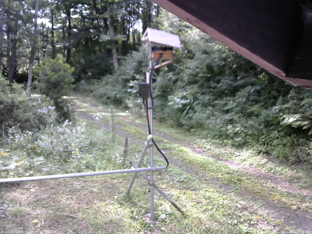 長野県菅平高原 ゆたか山荘 南側 2026/08/03 07:45