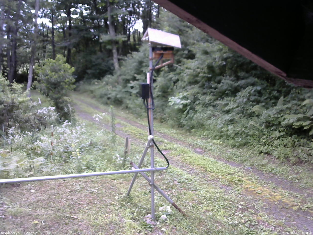 長野県菅平高原 ゆたか山荘 南側 2026/08/03 08:00