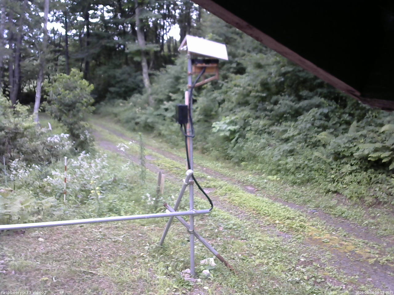長野県菅平高原 ゆたか山荘 南側 2026/08/03 08:15
