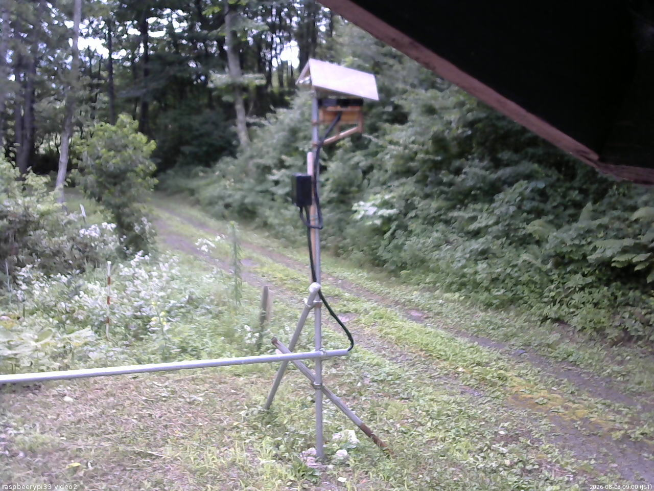 長野県菅平高原 ゆたか山荘 南側 2026/08/03 09:00