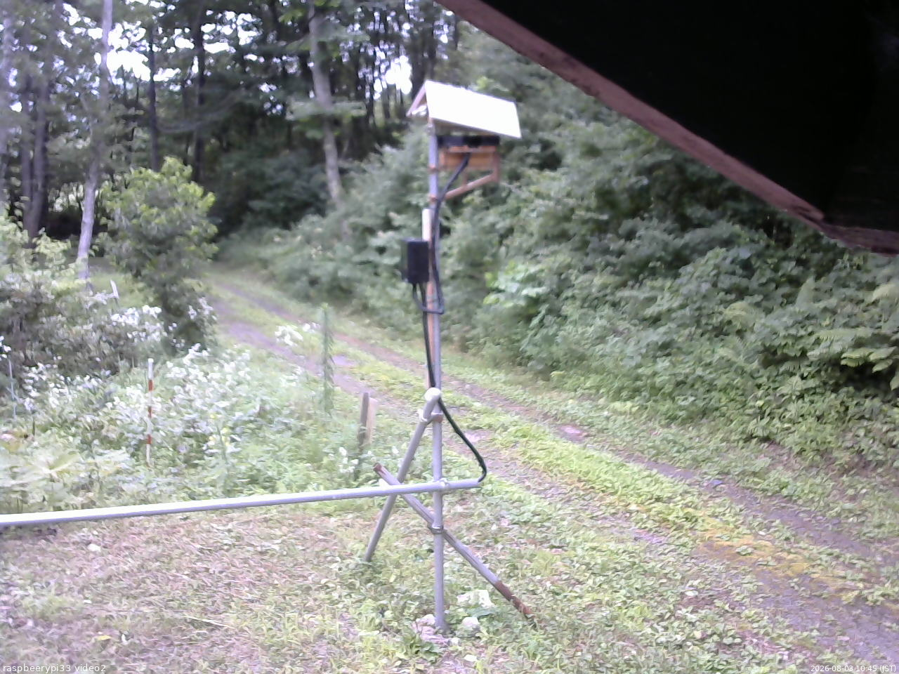 長野県菅平高原 ゆたか山荘 南側 2026/08/03 10:45