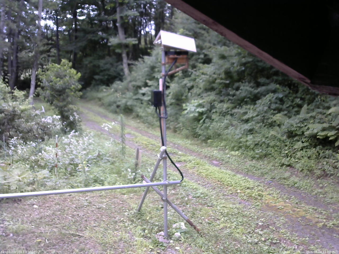 長野県菅平高原 ゆたか山荘 南側 2026/08/03 11:00