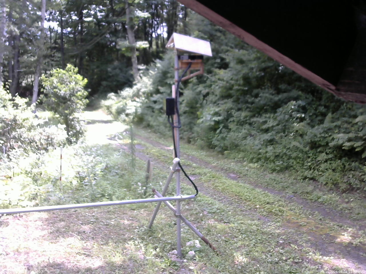 長野県菅平高原 ゆたか山荘 南側 2026/08/03 11:30