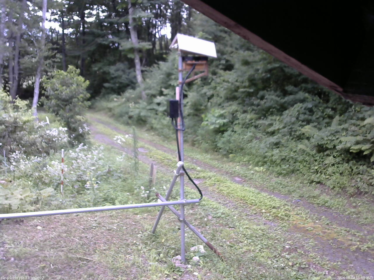 長野県菅平高原 ゆたか山荘 南側 2026/08/03 11:45