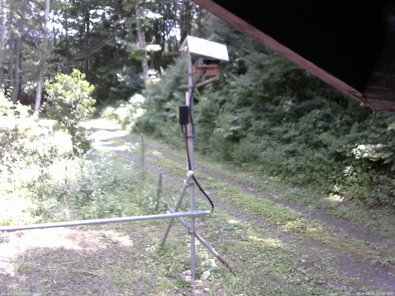 長野県菅平高原 ゆたか山荘 南側 2026/08/03 12:00