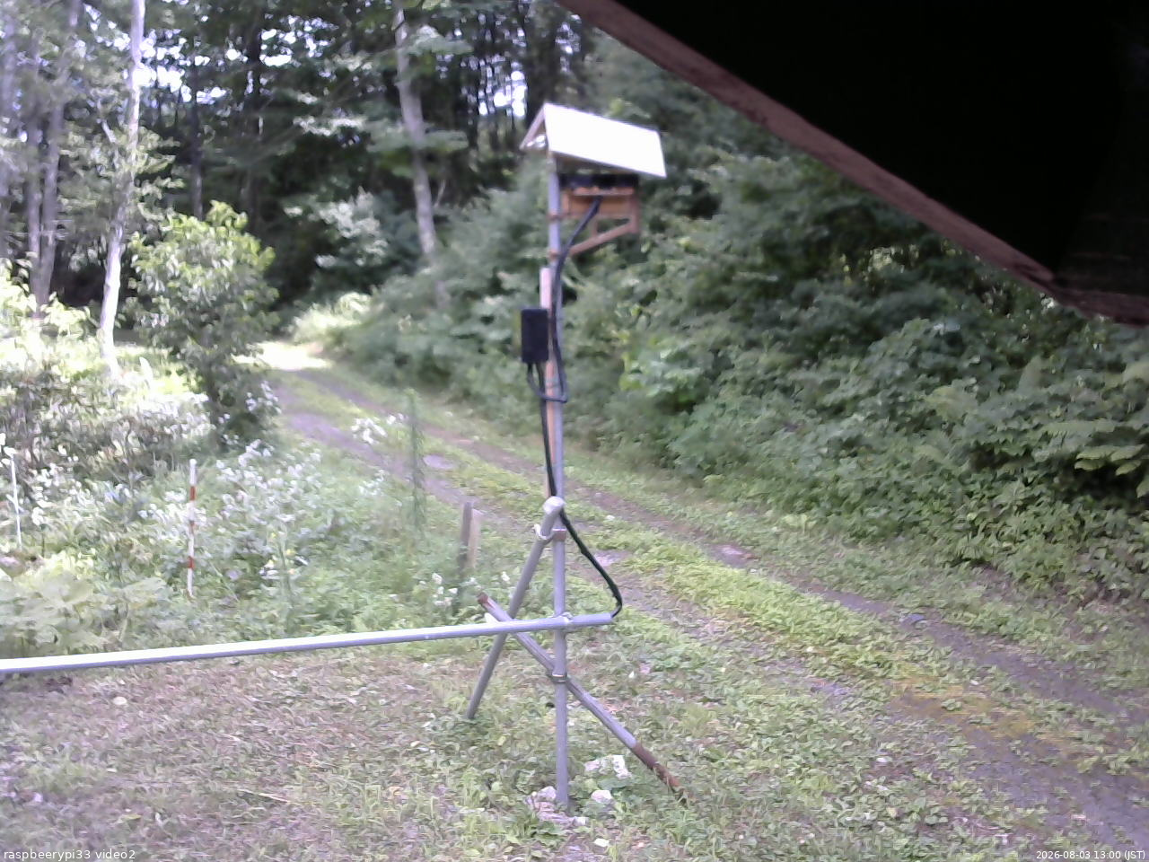 長野県菅平高原 ゆたか山荘 南側 2026/08/03 13:00