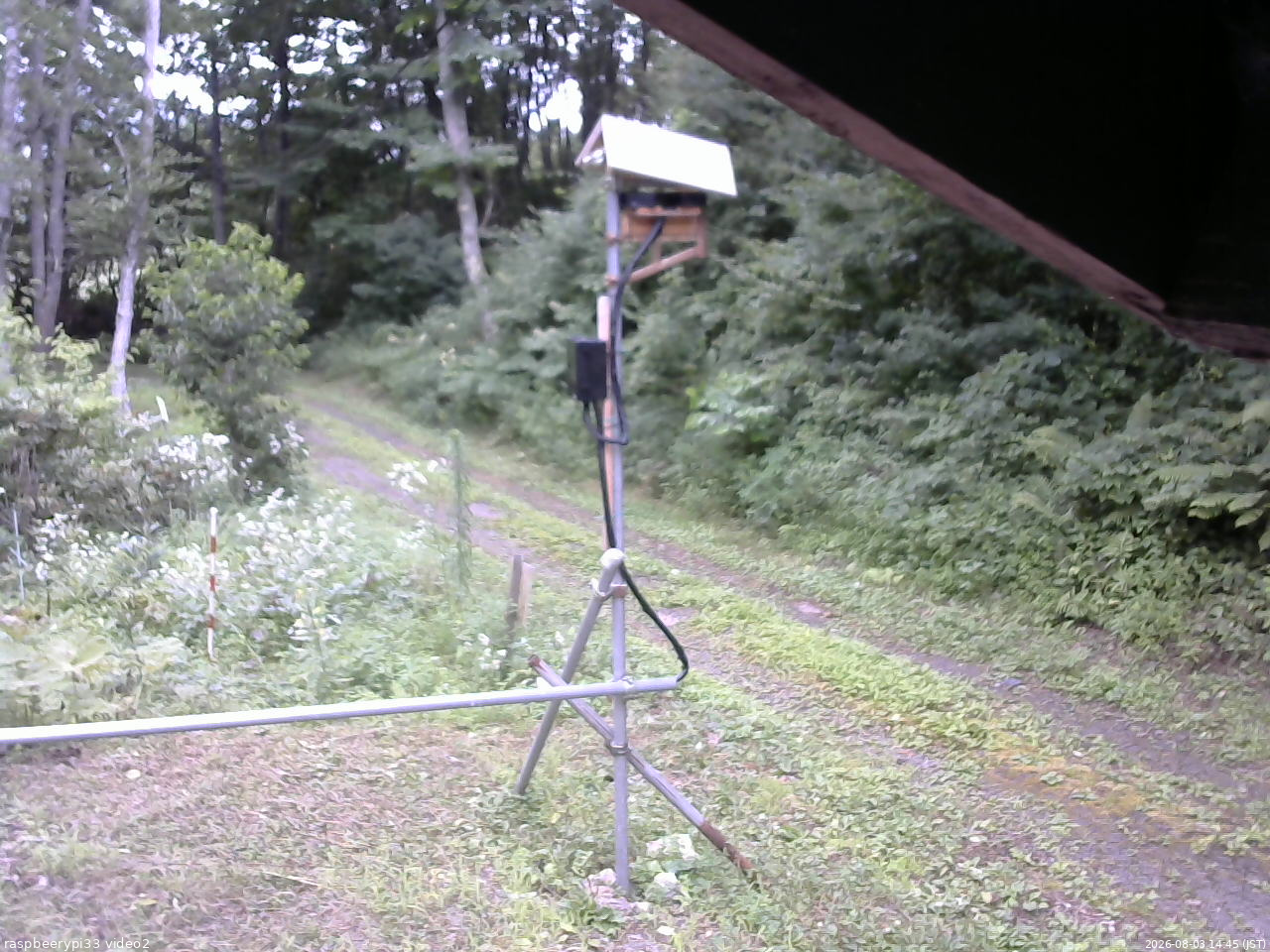 長野県菅平高原 ゆたか山荘 南側 2026/08/03 14:45