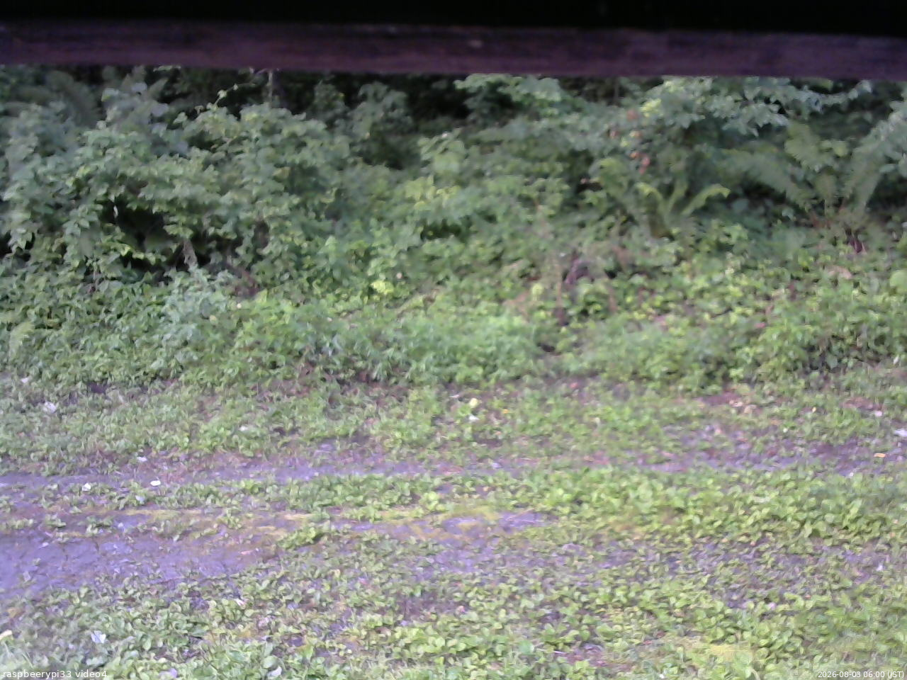 長野県菅平高原 ゆたか山荘 東側(坂下) 2026/08/03 06:00