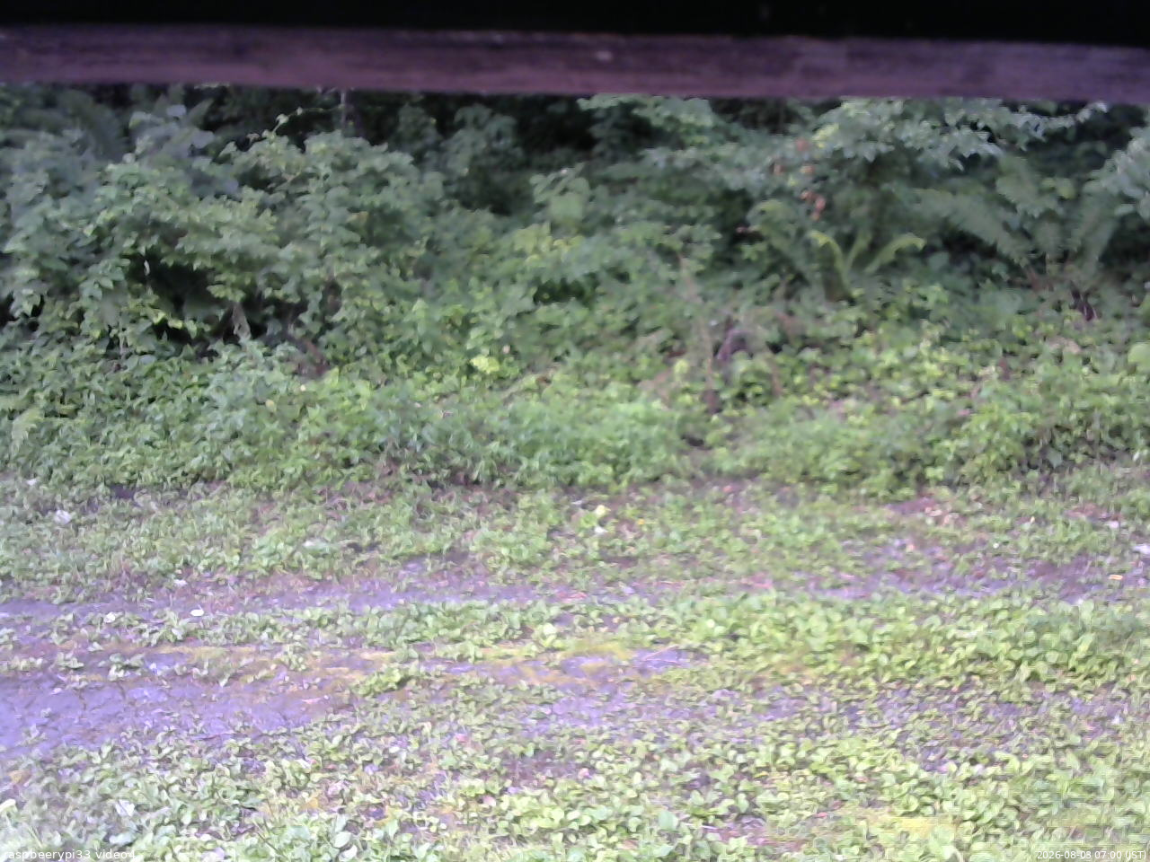 長野県菅平高原 ゆたか山荘 東側(坂下) 2026/08/03 07:00