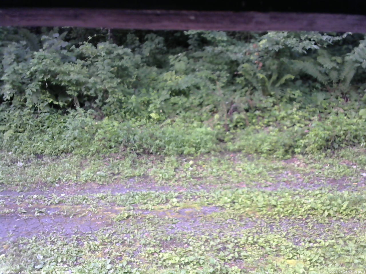 長野県菅平高原 ゆたか山荘 東側(坂下) 2026/08/03 07:15