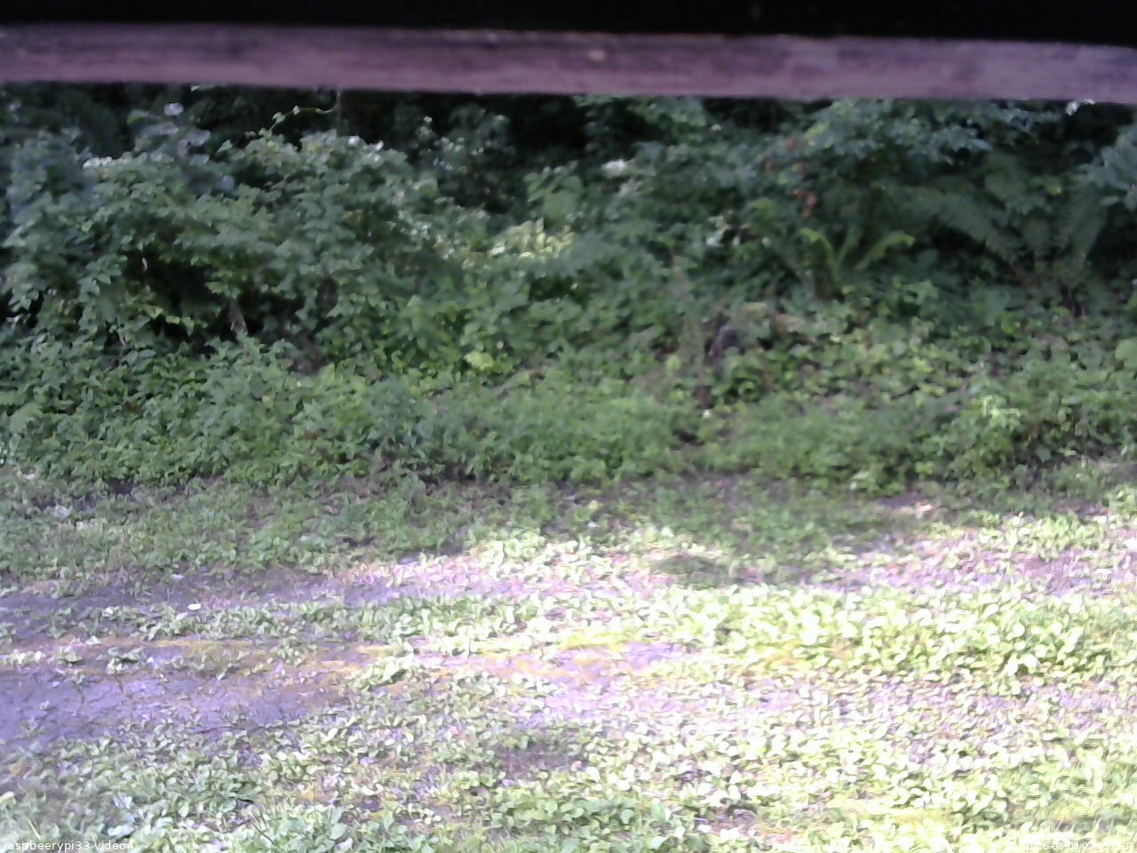 長野県菅平高原 ゆたか山荘 東側(坂下) 2026/08/03 07:45