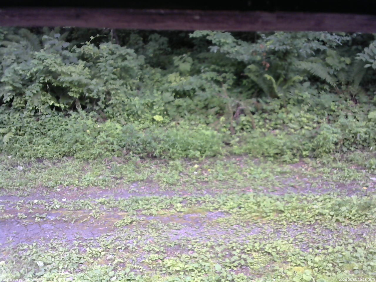 長野県菅平高原 ゆたか山荘 東側(坂下) 2026/08/03 10:15