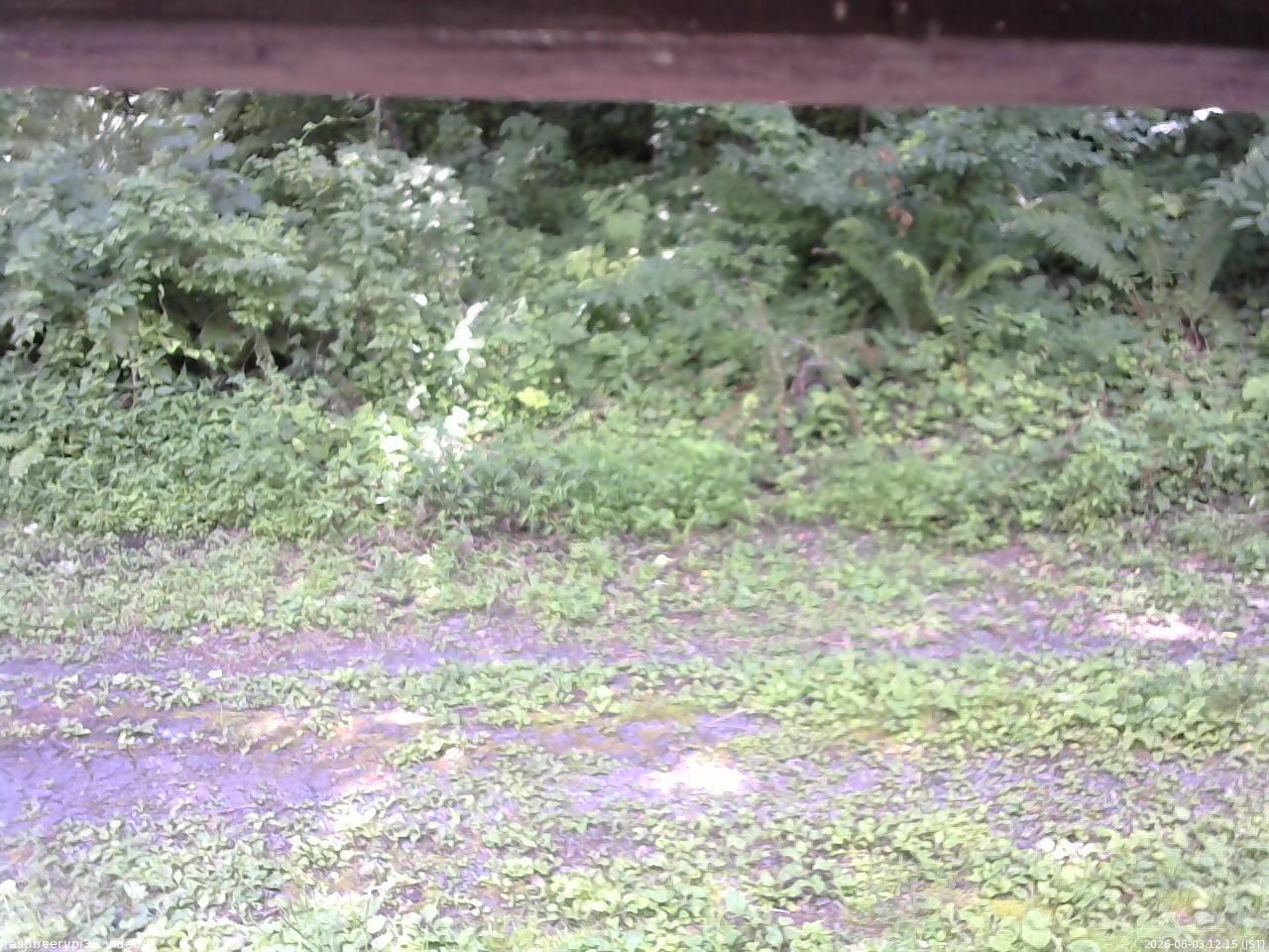 長野県菅平高原 ゆたか山荘 東側(坂下) 2026/08/03 12:15