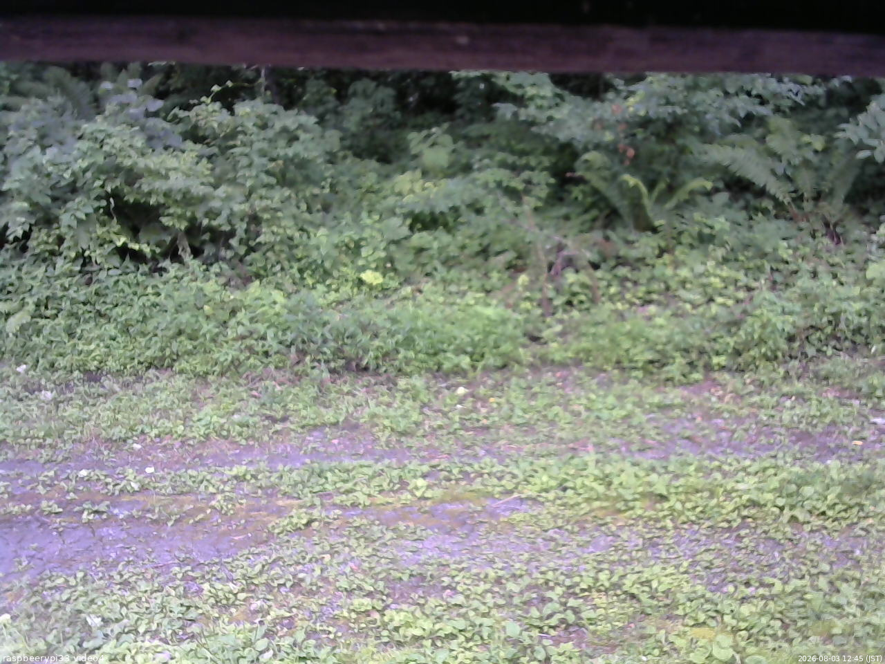 長野県菅平高原 ゆたか山荘 東側(坂下) 2026/08/03 12:45