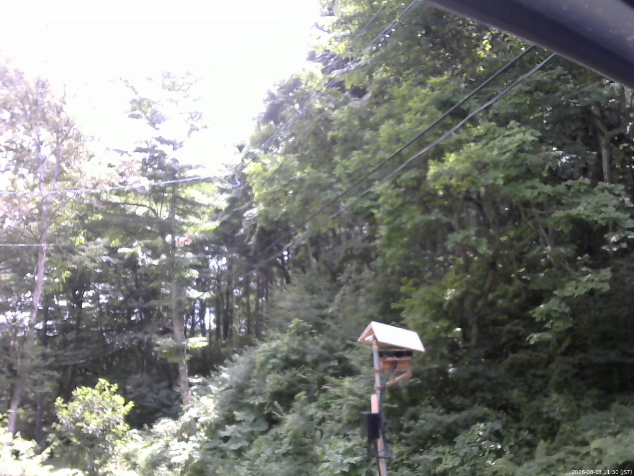 長野県菅平高原 ゆたか山荘 温度計 2026/08/03 11:30