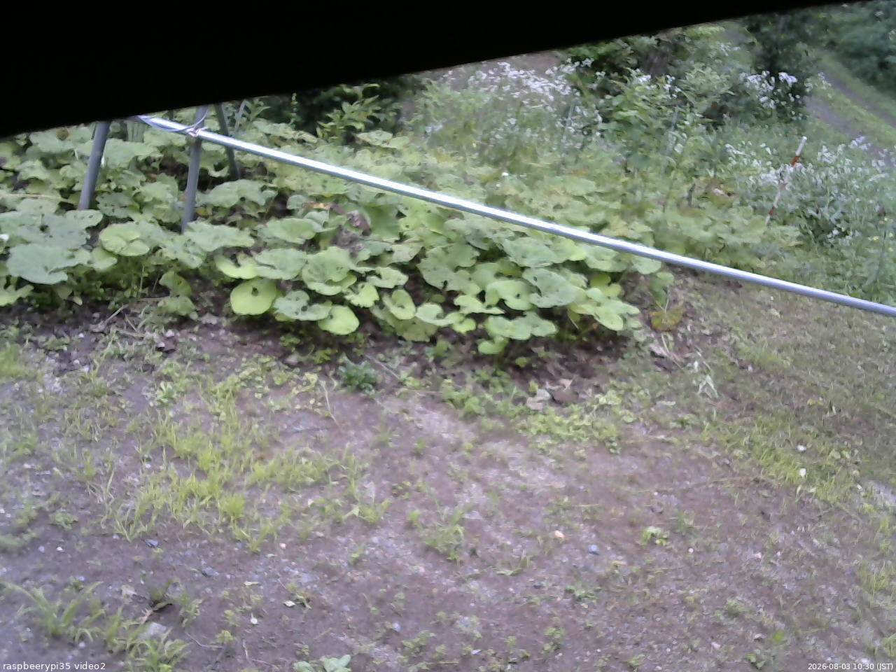長野県菅平高原 ゆたか山荘 駐車場 2026/08/03 10:30