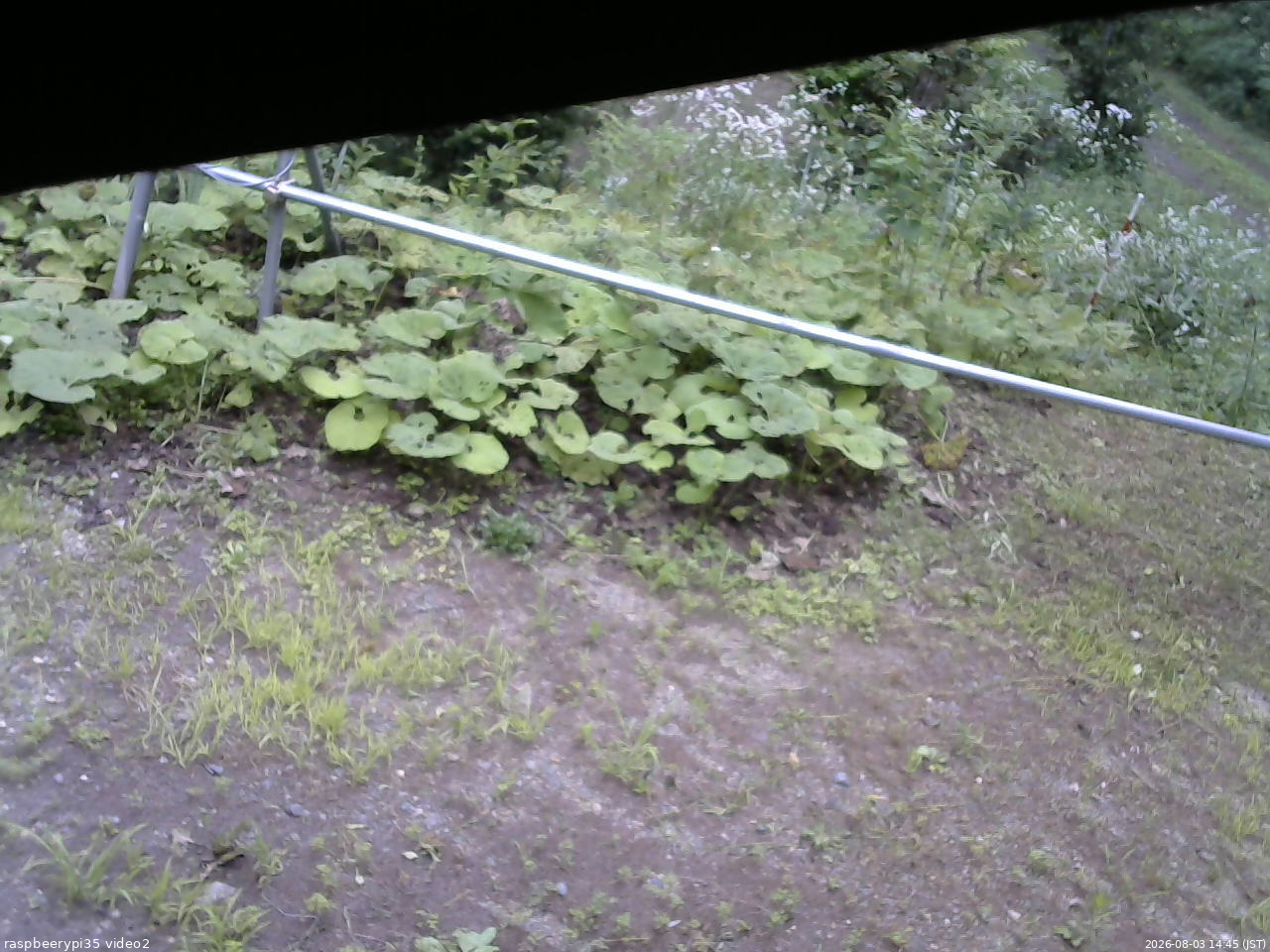 長野県菅平高原 ゆたか山荘 駐車場 2026/08/03 14:45