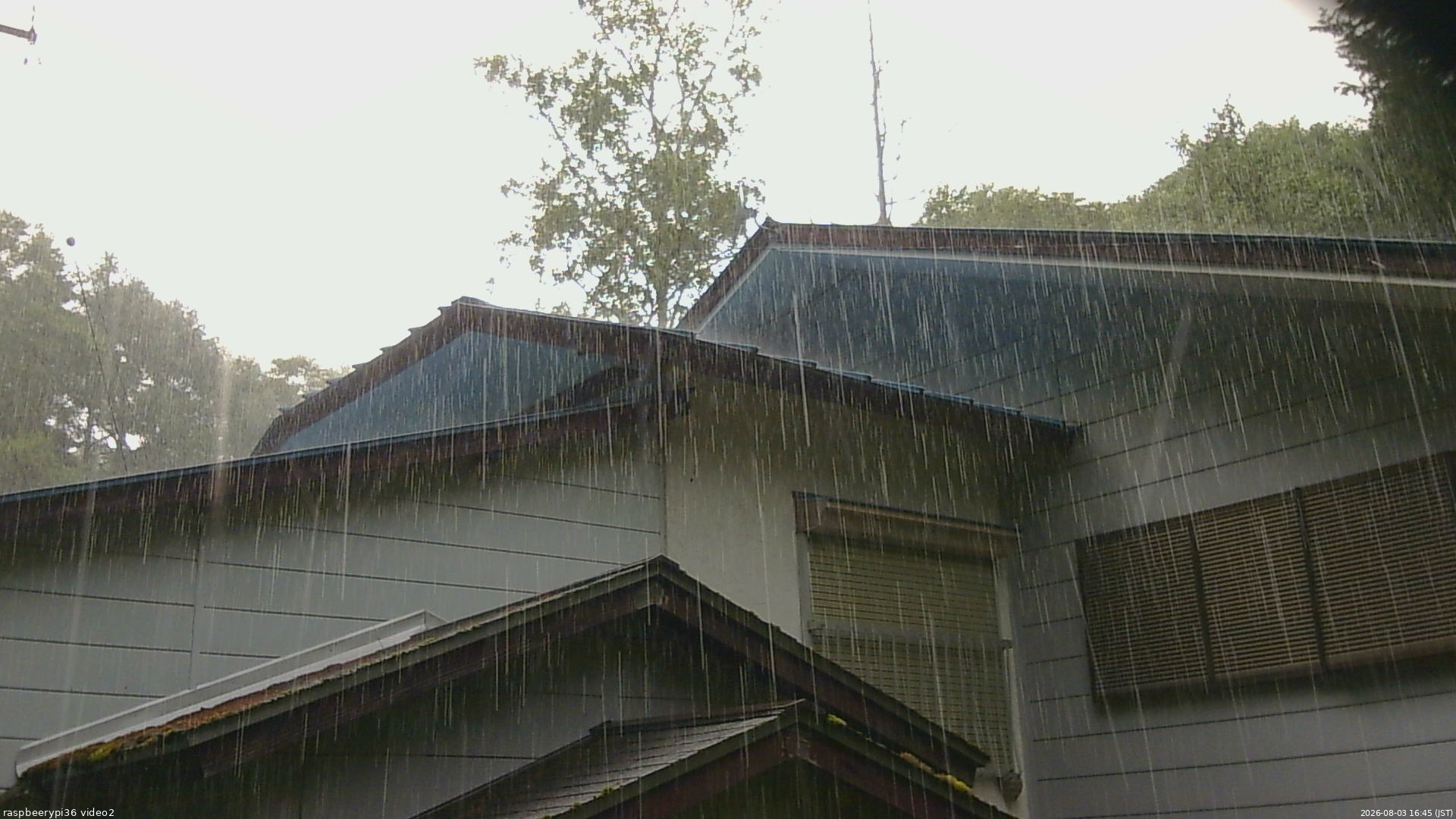長野県菅平高原 ゆたか山荘 駐車場奥 2026/08/03 16:45