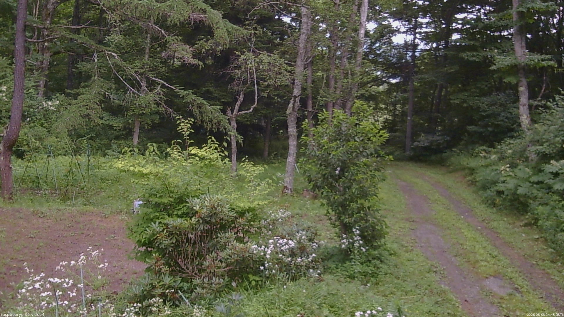 長野県菅平高原 ゆたか山荘 坂上 2026/08/03 14:45
