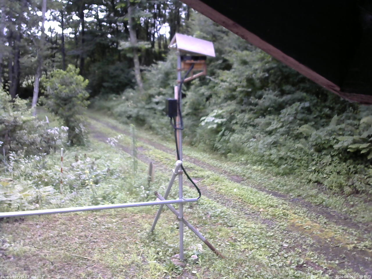 長野県菅平高原 ゆたか山荘 南側 2026/08/04 07:30