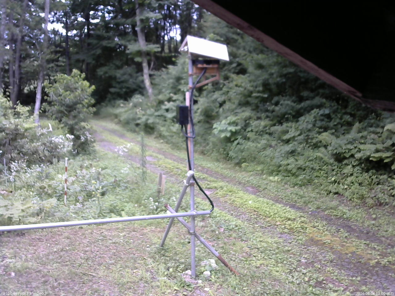 長野県菅平高原 ゆたか山荘 南側 2026/08/04 12:00