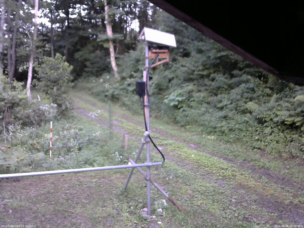 長野県菅平高原 ゆたか山荘 南側 2026/08/04 18:30