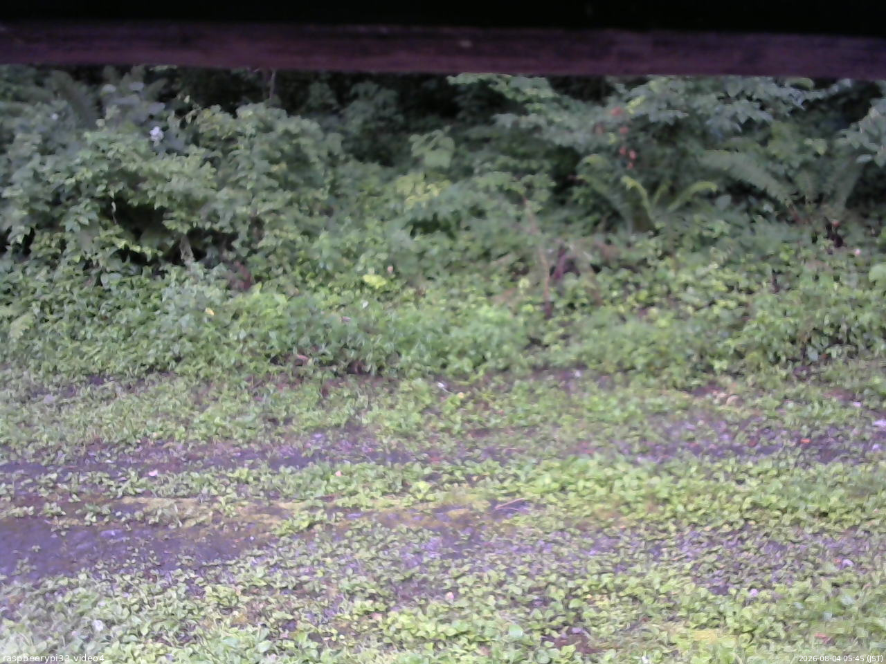 長野県菅平高原 ゆたか山荘 東側(坂下) 2026/08/04 05:45