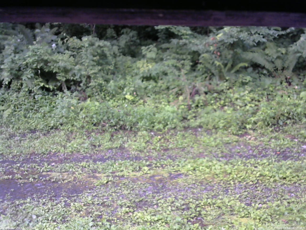 長野県菅平高原 ゆたか山荘 東側(坂下) 2026/08/04 06:15