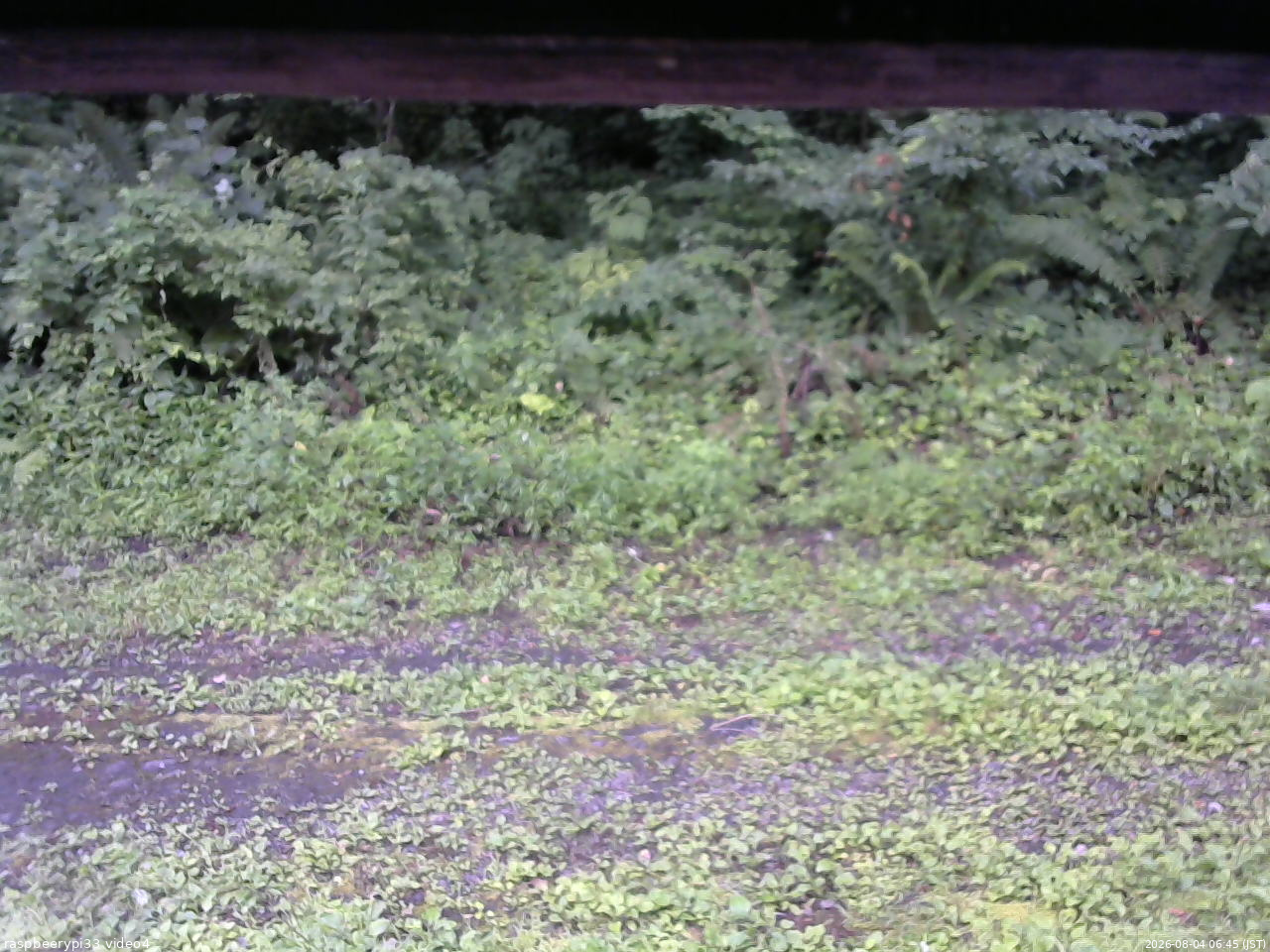 長野県菅平高原 ゆたか山荘 東側(坂下) 2026/08/04 06:45