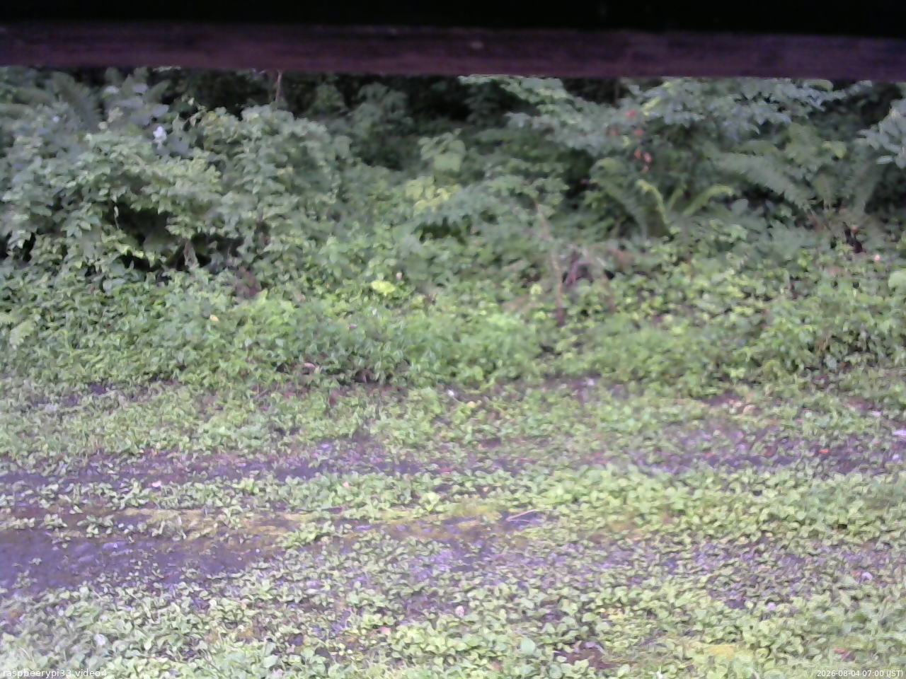 長野県菅平高原 ゆたか山荘 東側(坂下) 2026/08/04 07:00