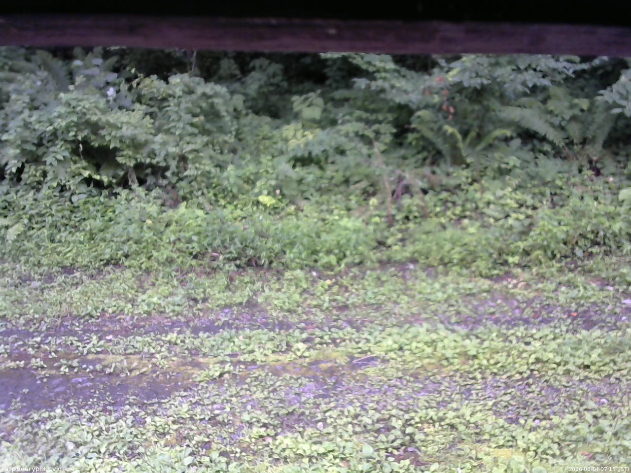 長野県菅平高原 ゆたか山荘 東側(坂下) 2026/08/04 07:15