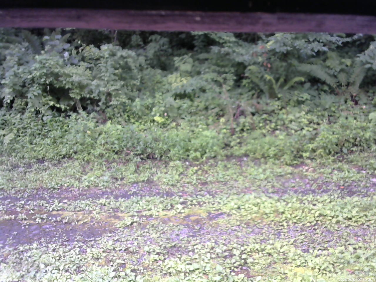 長野県菅平高原 ゆたか山荘 東側(坂下) 2026/08/04 07:30