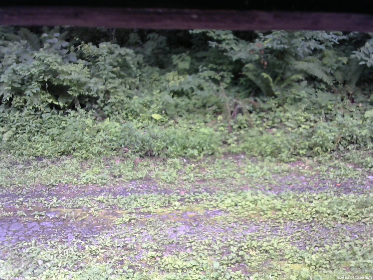 長野県菅平高原 ゆたか山荘 東側(坂下) 2026/08/04 12:00