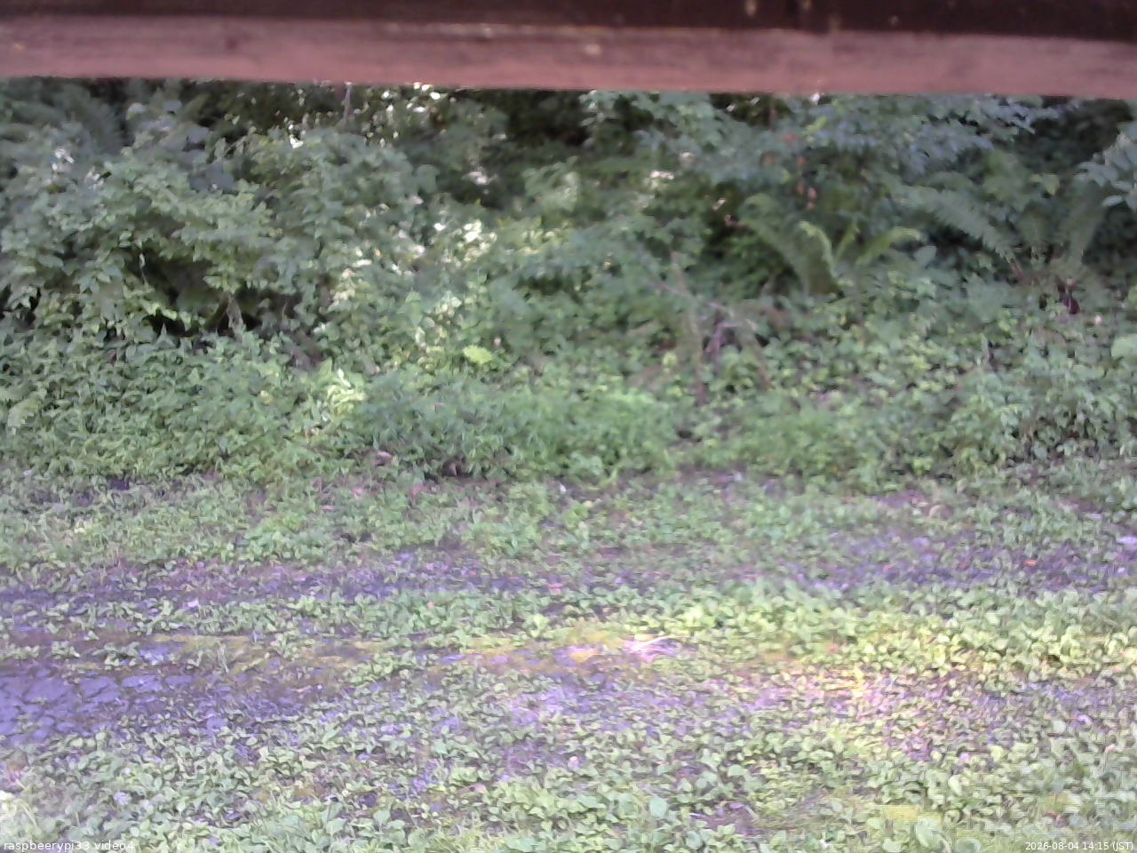 長野県菅平高原 ゆたか山荘 東側(坂下) 2026/08/04 14:15