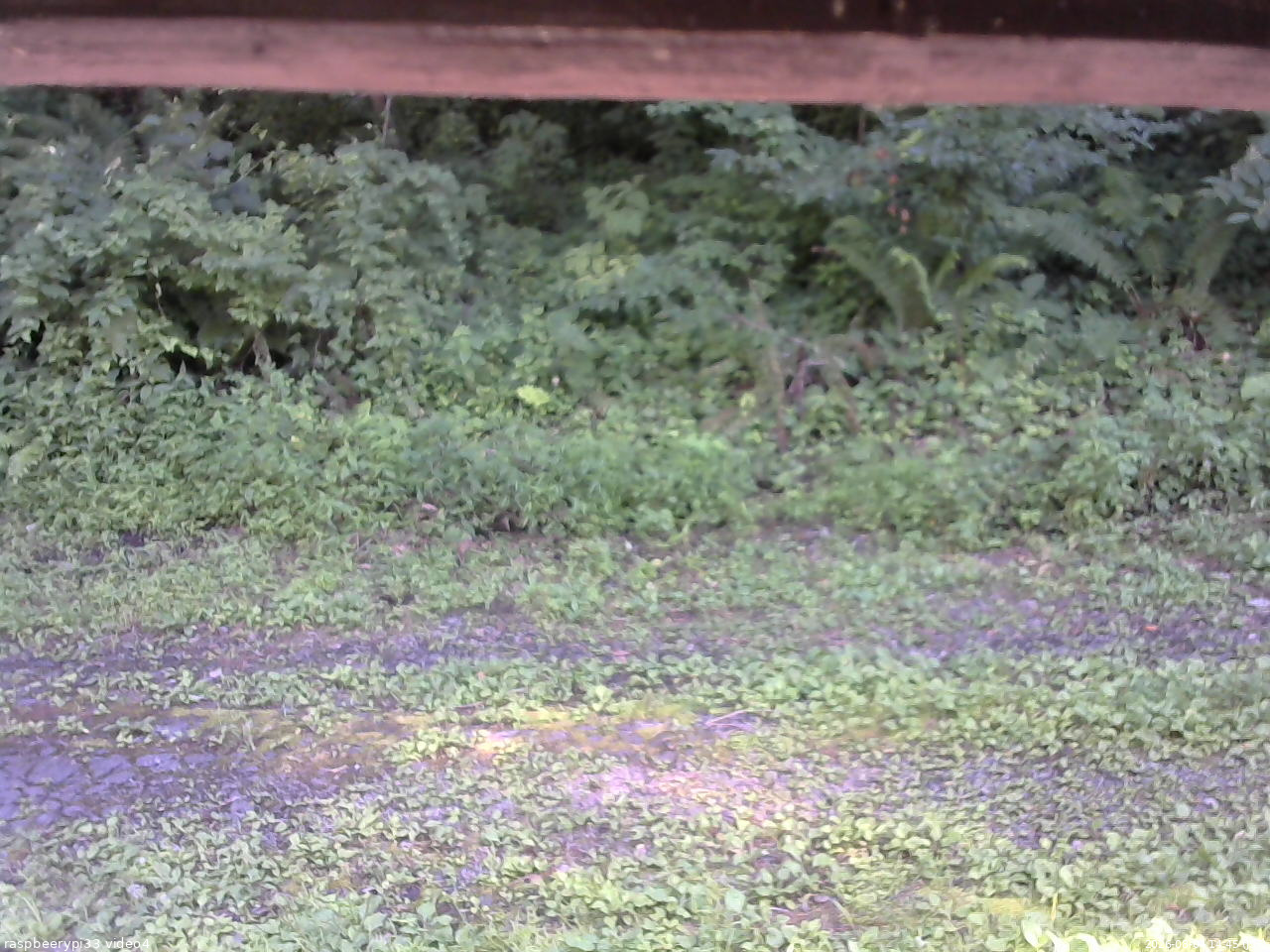 長野県菅平高原 ゆたか山荘 東側(坂下) 2026/08/04 14:45