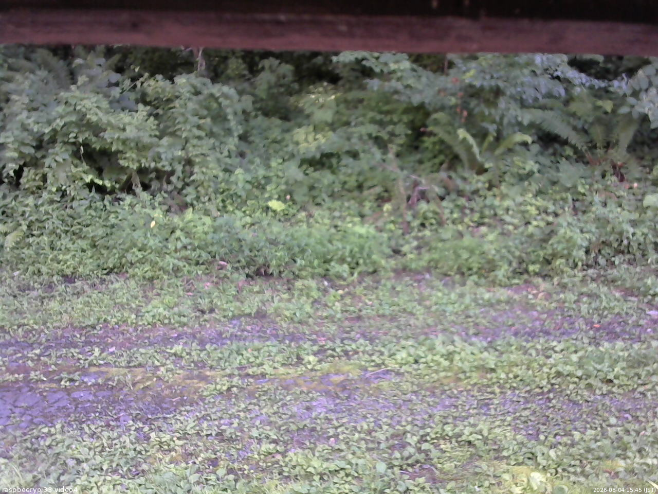 長野県菅平高原 ゆたか山荘 東側(坂下) 2026/08/04 15:45