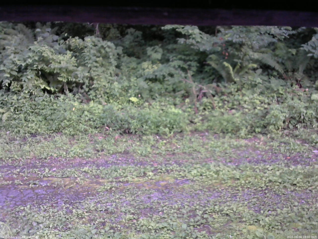 長野県菅平高原 ゆたか山荘 東側(坂下) 2026/08/04 18:00