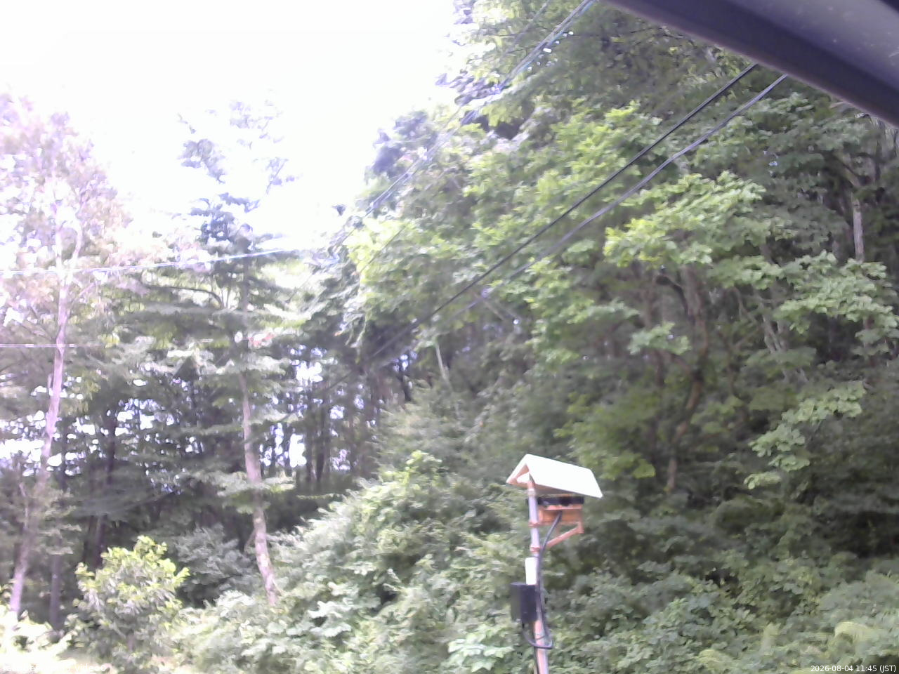長野県菅平高原 ゆたか山荘 温度計 2026/08/04 11:45