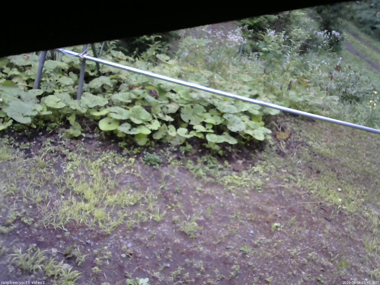 長野県菅平高原 ゆたか山荘 駐車場 2026/08/04 05:45