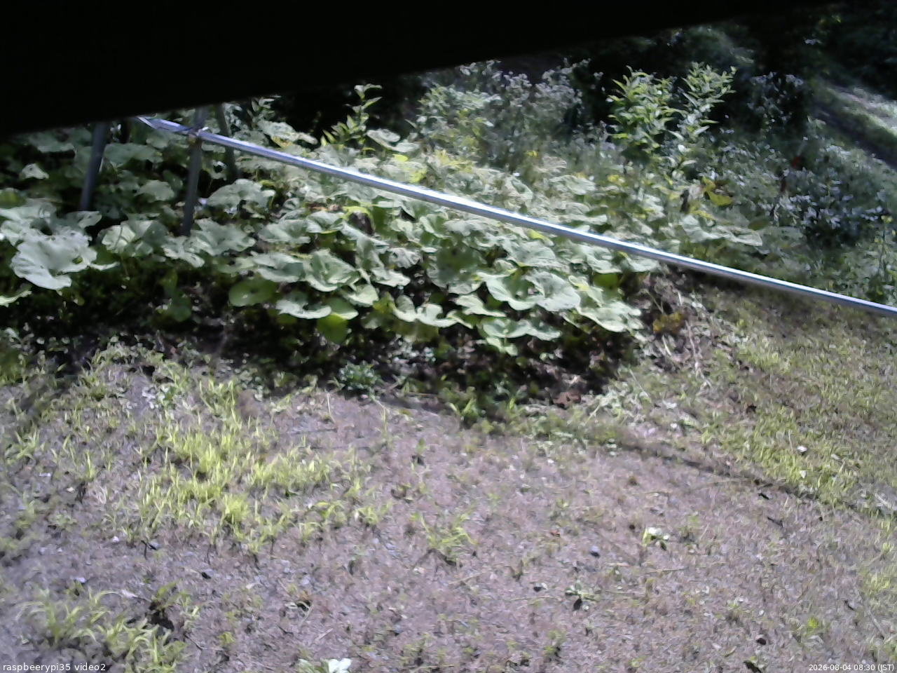 長野県菅平高原 ゆたか山荘 駐車場 2026/08/04 08:30