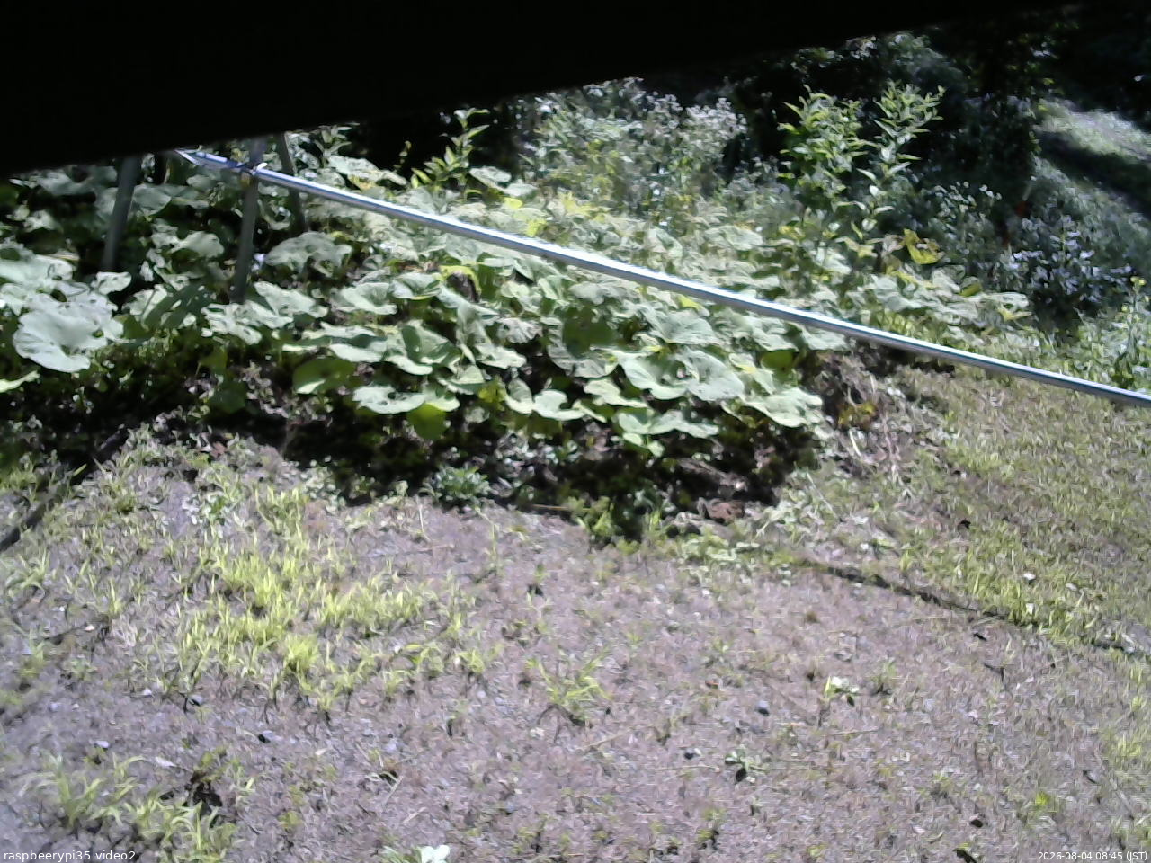 長野県菅平高原 ゆたか山荘 駐車場 2026/08/04 08:45