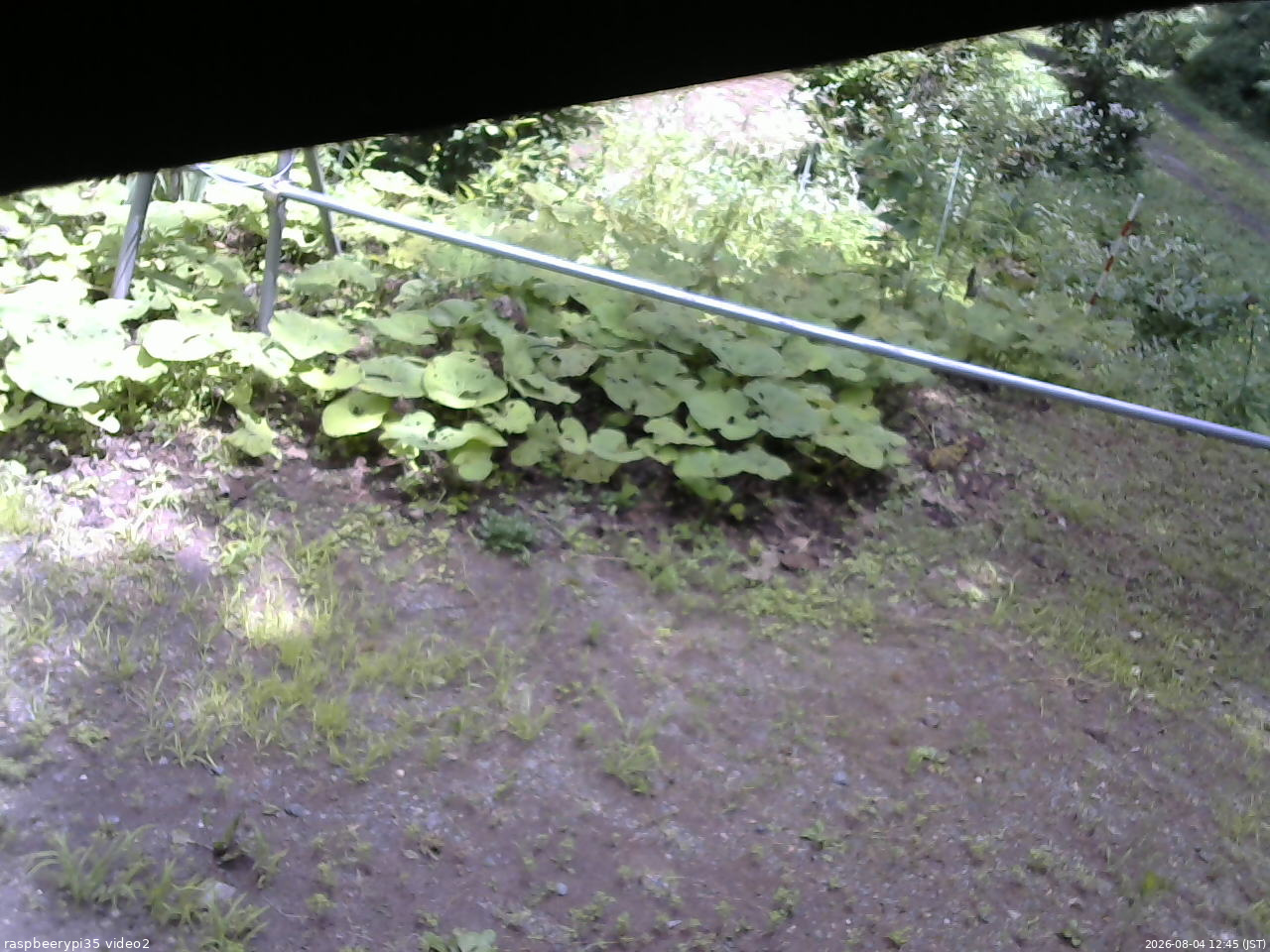 長野県菅平高原 ゆたか山荘 駐車場 2026/08/04 12:45