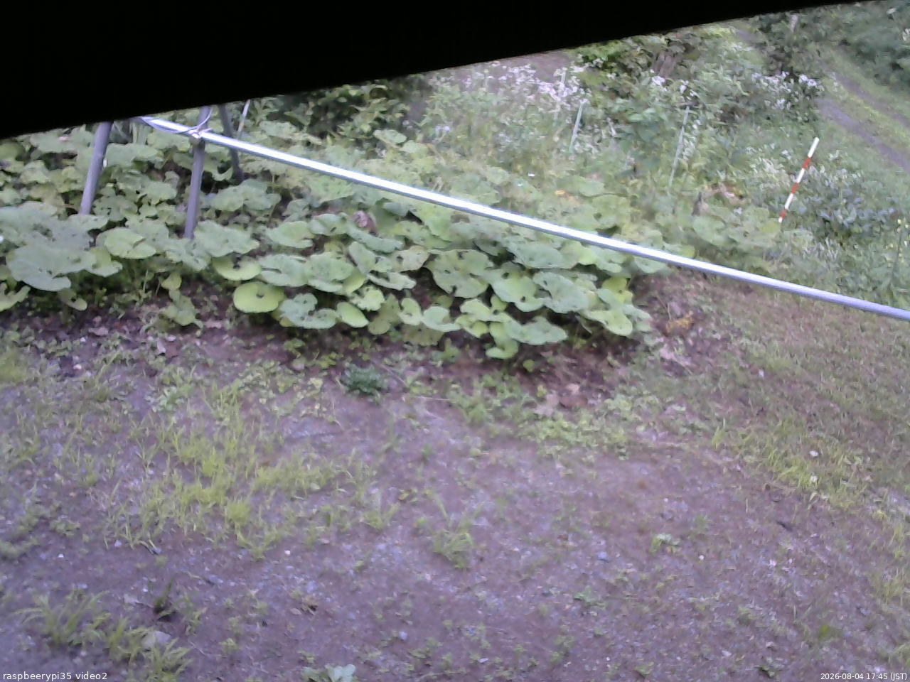 長野県菅平高原 ゆたか山荘 駐車場 2026/08/04 17:45