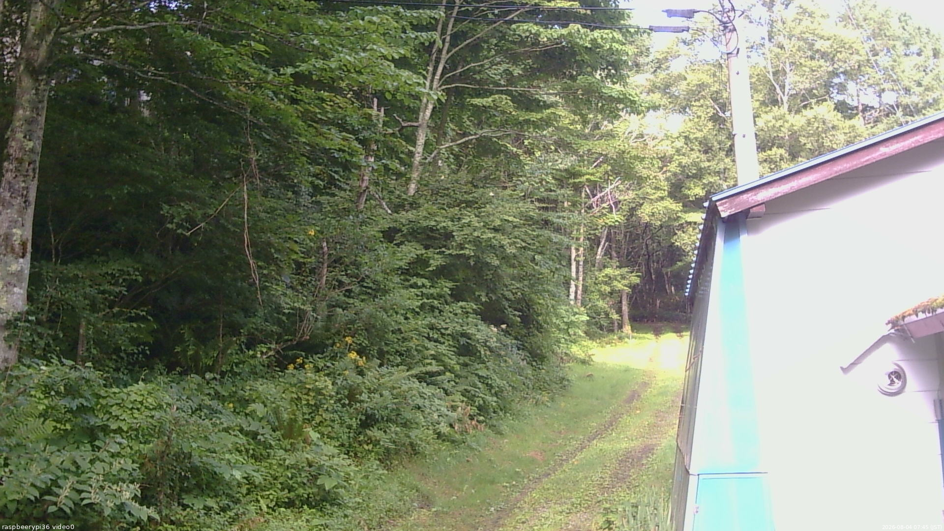 長野県菅平高原 ゆたか山荘 ゆたか山荘 2026/08/04 07:45
