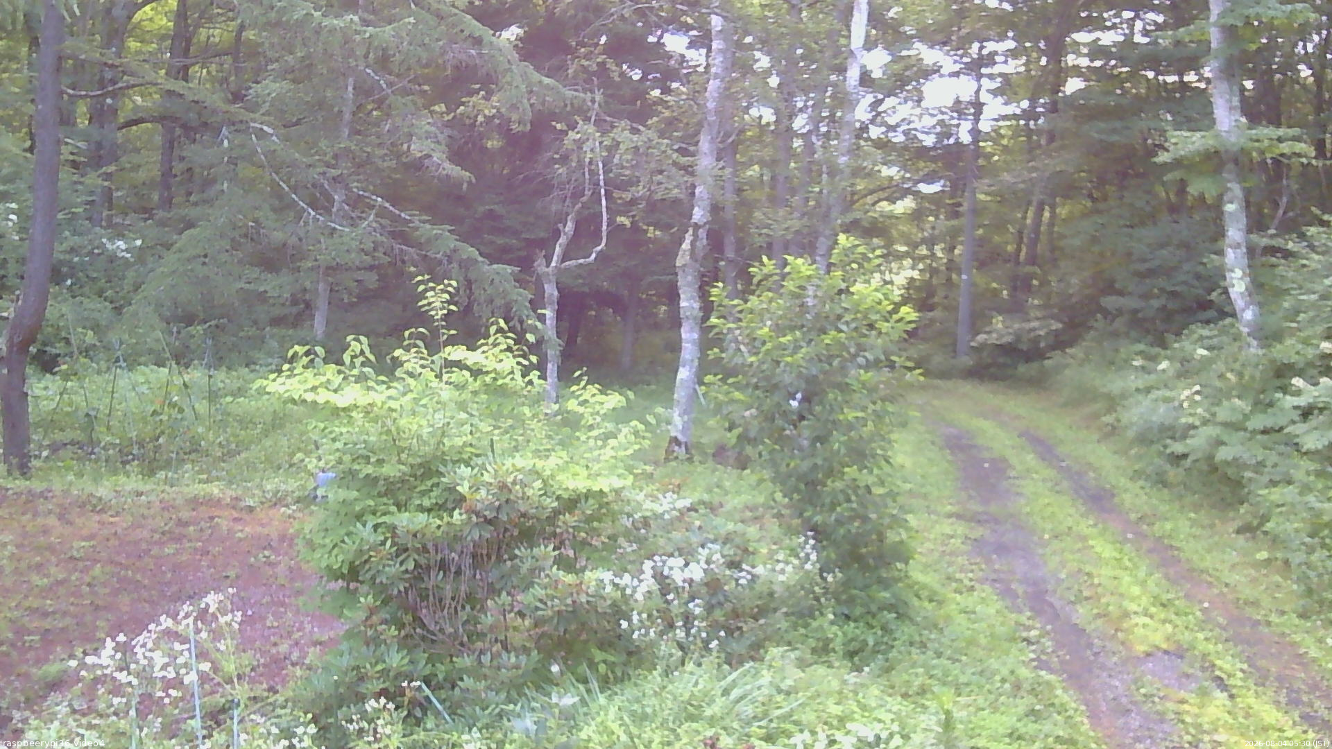 長野県菅平高原 ゆたか山荘 坂上 2026/08/04 05:30