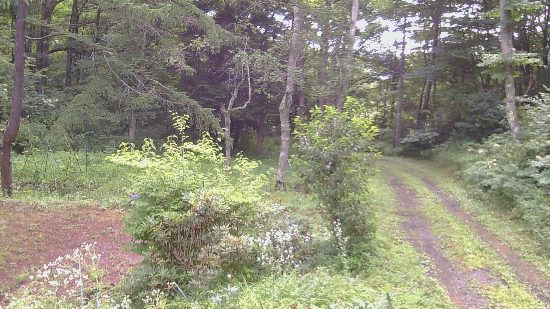 長野県菅平高原 ゆたか山荘 坂上 2026/08/04 07:30