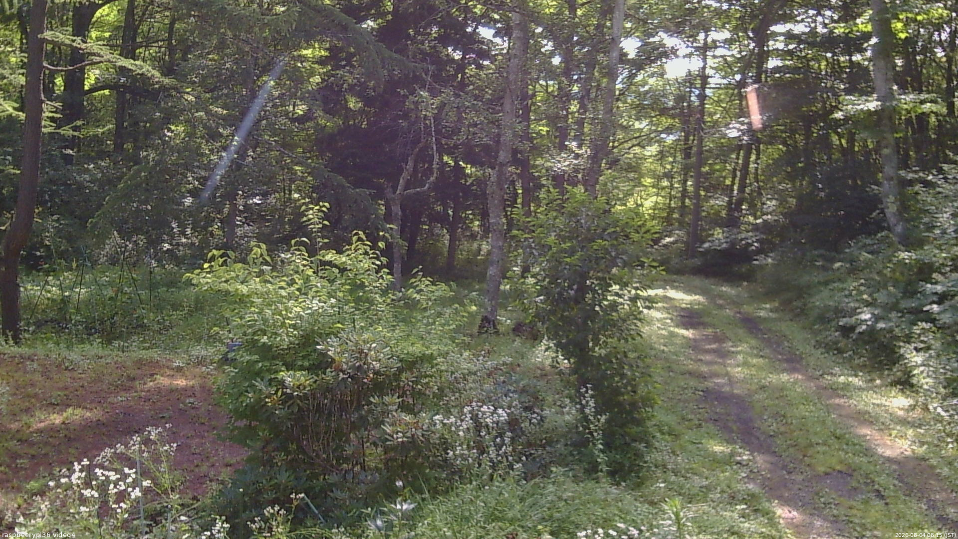 長野県菅平高原 ゆたか山荘 坂上 2026/08/04 08:15
